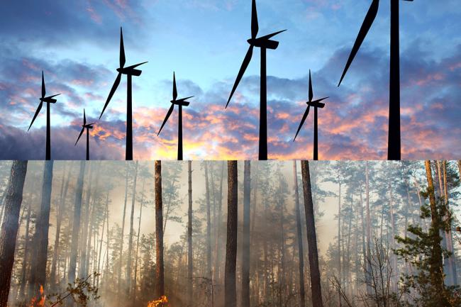wind turbines and burning forest