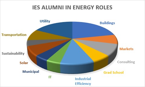 A pie chart with different colored wedges indicating the professional fields that IES alumni occupy.
